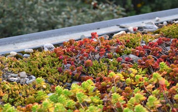 the cost of Walworth Gate green roof installation
